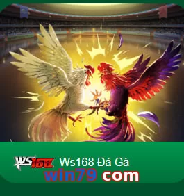 win79 com